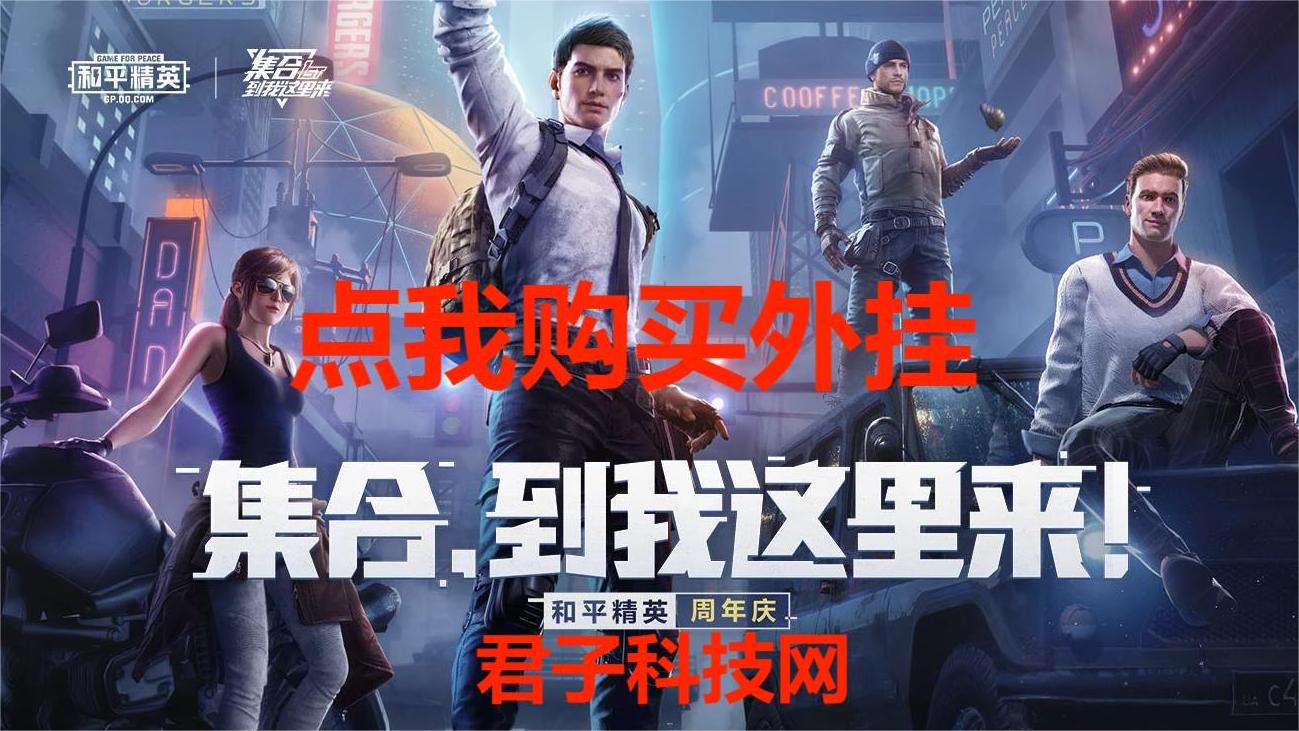 和平精英辅助【内部G简洁版】